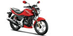 Buy PETROL TANK EXTREME SPORTS ZADON on 0.00 % discount