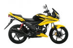 Buy PETROL TANK STUNNER (2010) ZADON on 0 % discount