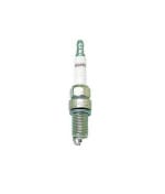 Buy SPARK PLUG CD100 CHAMPION on 0 % discount