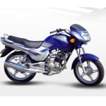 Buy FAIRING STICKER VICTOR GLX ZADON on 15.00 % discount