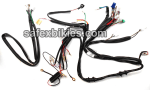 Buy WIRING HARNESS BULLET THUNDERBIRD SWISS on 0.00 % discount