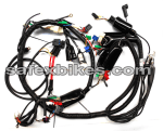 Buy WIRING HARNESS PULSAR200 CC DTS ES(Digital meter)SWISS on 0 % discount