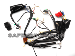Buy WIRING HARNESS DISCOVER DTSI 135CC KS SWISS on 0 % discount