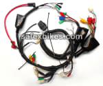 Buy WIRING HARNESS DISCOVER DTSI 135CC ES (Alloy wheel 2009 model) (Digital meter) SWISS on 0.00 % discount