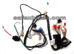 Buy WIRING HARNESS CT100 CC DLX KS NM SWISS on 0.00 % discount