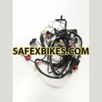 Buy WIRING HARNESS HERO DUET ES BS4 (2017 MODEL) SWISS on 0 % discount