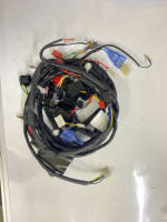Buy WIRING HARNESS RAY-ZR SWISS on 15.00 % discount
