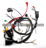 Buy WIRING HARNESS PULSAR150 CC DTSI ES(UG4 model)SWISS on 15.00 % discount