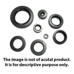 Buy CLUTCH ROD SEAL MAX100 ZADON on 15.00 % discount