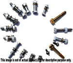 Buy CLUTCH SIDE SCREW KIT RX100 OE on 0 % discount