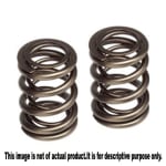 Buy VALVE SPRING SET APACHE 150CC ZADON on 15.00 % discount