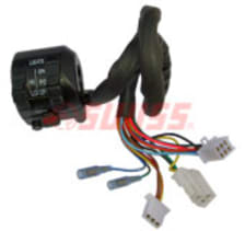 Buy COMBINATION SWITCH RAJDOOT ELECTRONIC (LH) SWISS on  % discount