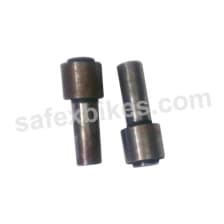 Buy FOUNDATION BUSH ETERNO ZADON on  % discount