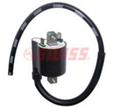 Buy IGNITION COIL KARIZMA R SWISS on  % discount