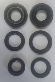 Buy OIL SEAL KIT WEGO ZADON on  % discount