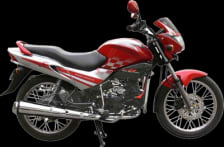 Buy PETROL TANK GLAMOUR TYPE 2 ZADON on  % discount