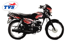 Buy REAR MUDGUARD STAY SHOGUN (BIG) ZADON on  % discount