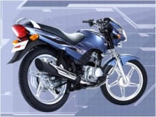 Buy TAIL PANEL STAR SPORTS ZADON on  % discount