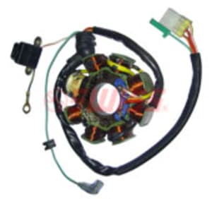 COIL PLATE ASSEMBLY AVENGER 200 SWISS 