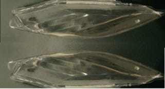 FRONT INDICATOR GLASS SET ACTIVA 125 ZADON- Motorcycle Parts For