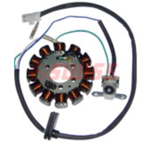 COIL PLATE ASSEMBLY ACTIVA HET SWISS 
