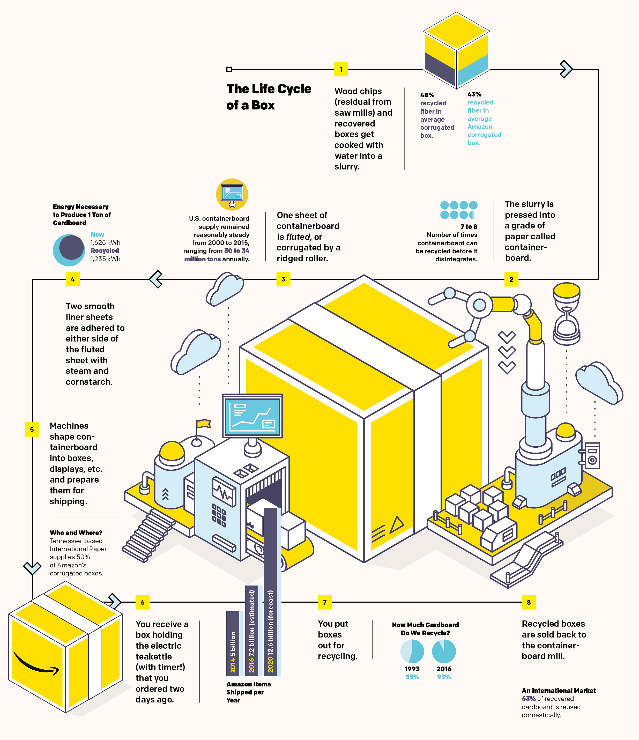 Where Does Cardboard Come From?