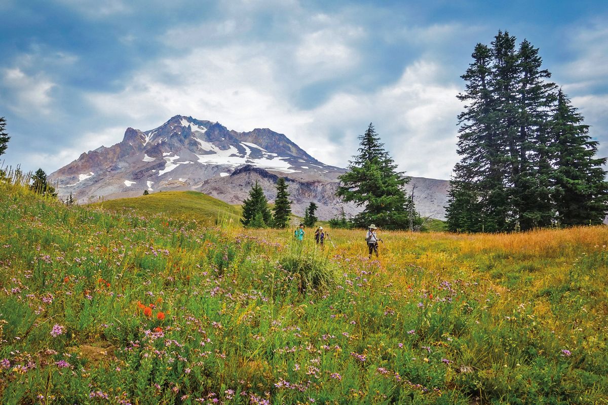 the timberline trail