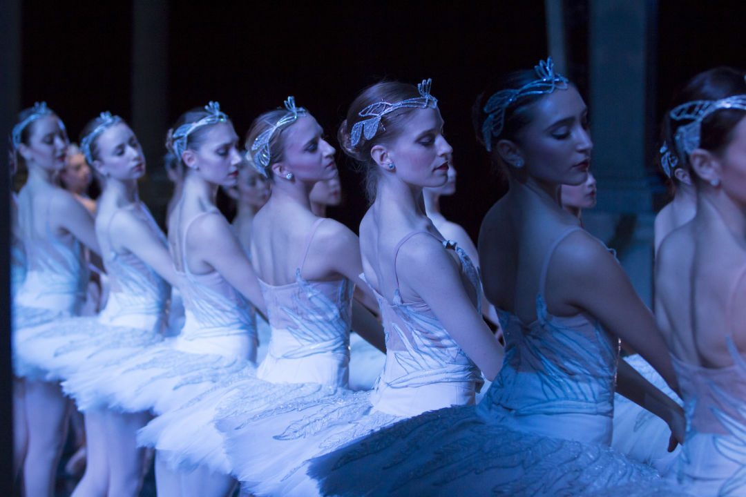 Swanlake2015 corps lt 152rawedit vbgjd1
