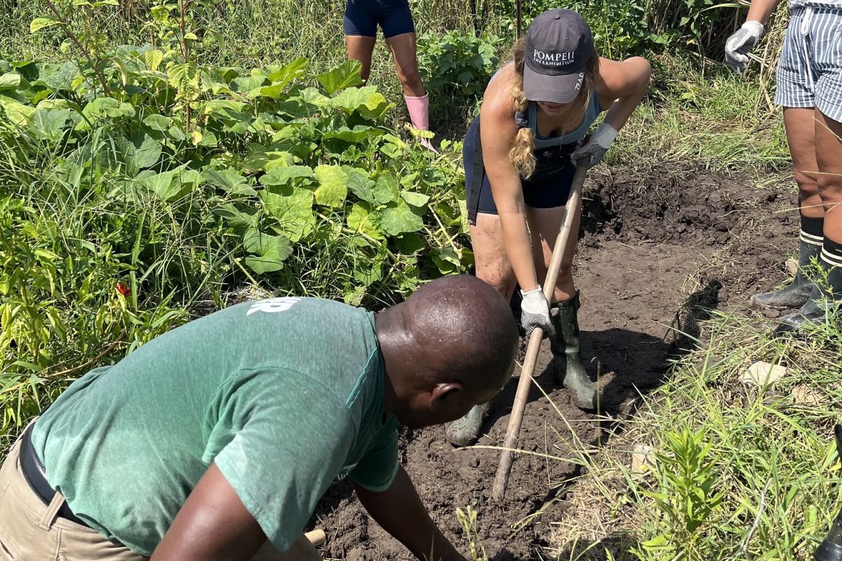 https://www.houstoniamag.com/news-and-city-life/2024/07/community-gardens-houston social preview image