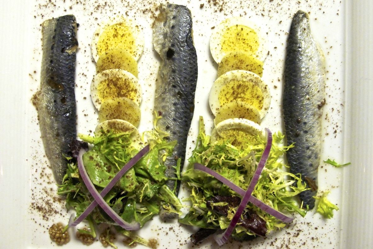 Got Sardines? Houstonia Magazine