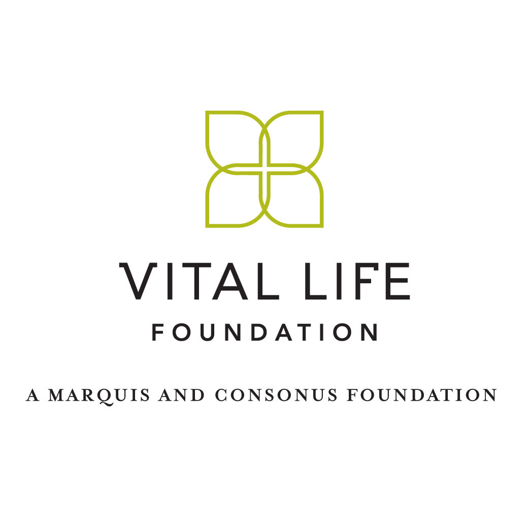 Vlf logolockup01 1 cbnqi3