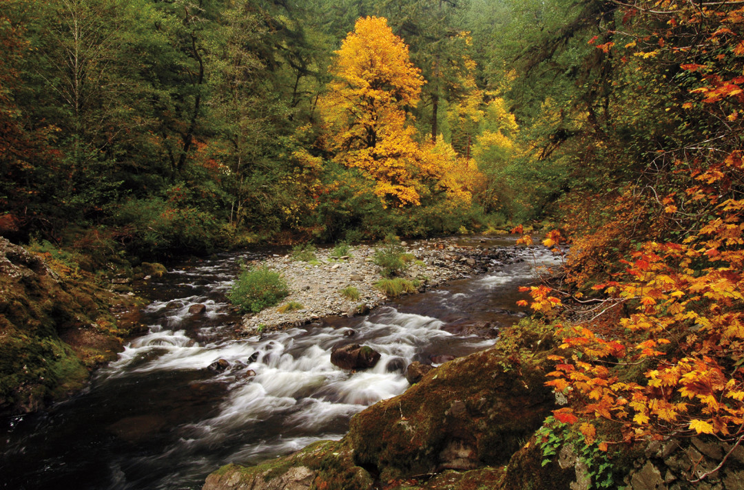 Fall creek by liefphotos.com zqsxsj