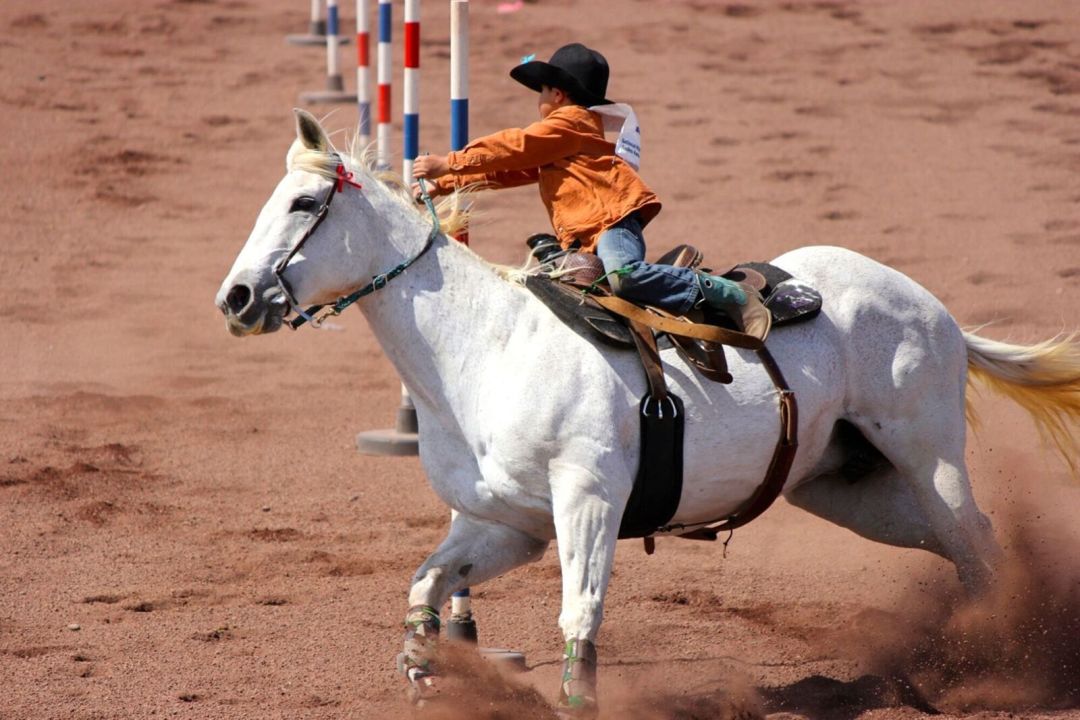 Rodeo bivb0167 dtc0ng