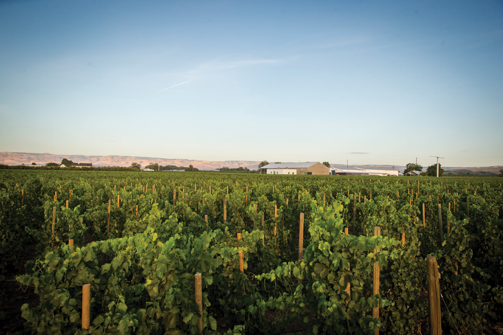 The Top 10 Washington Wines of 2015 Seattle Met