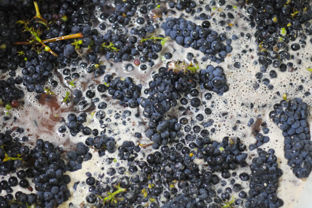1012 se wine collective 8 hkjwog