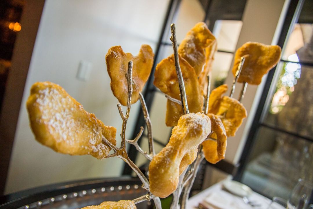 Beignet tree adpna0