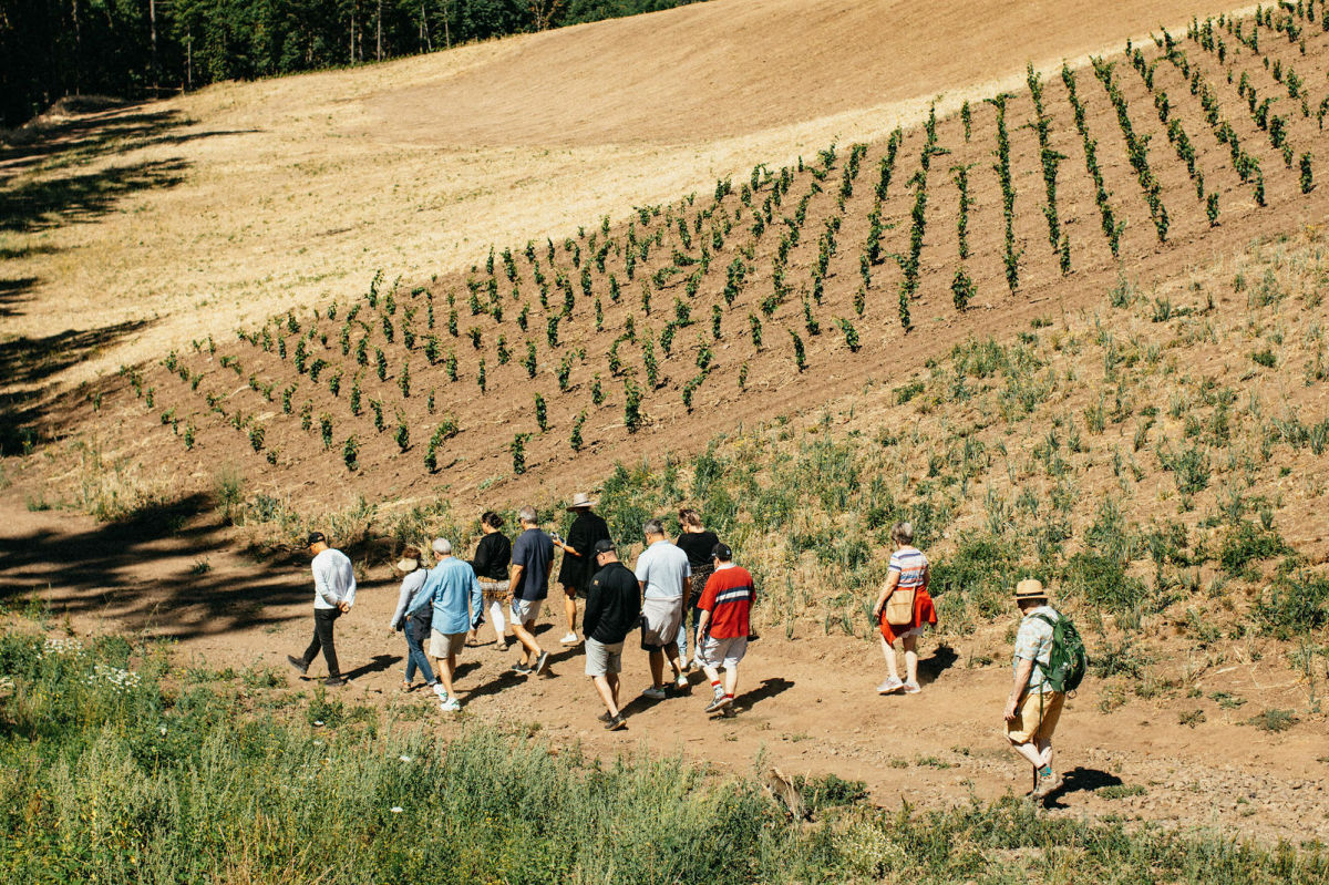 4 Portland Firms Altering the Approach We Journey