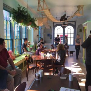 El Gato Cat Cafe And Cat Cottage Restaurants Houstonia Magazine