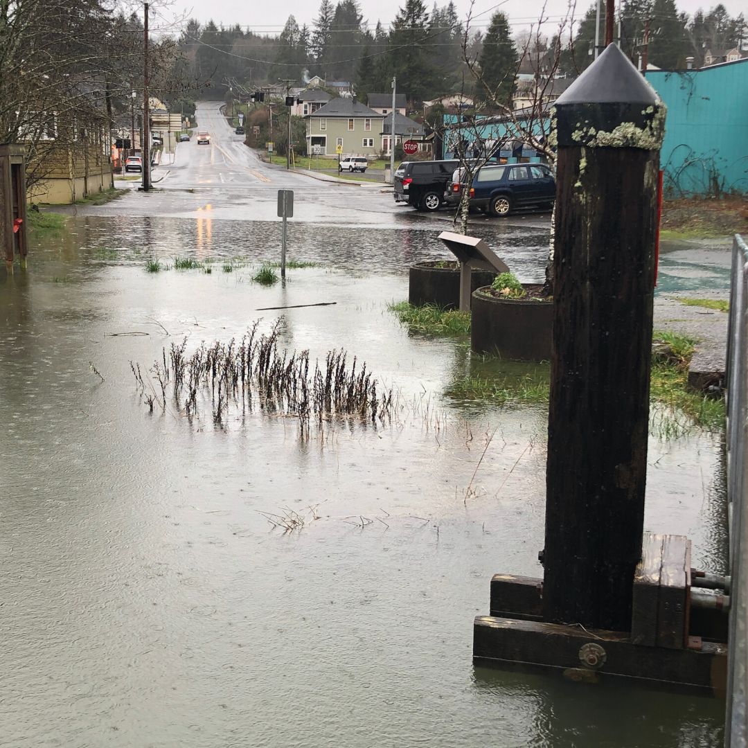 Oregon King Tides Project Seeks Photographs for CitizenScience