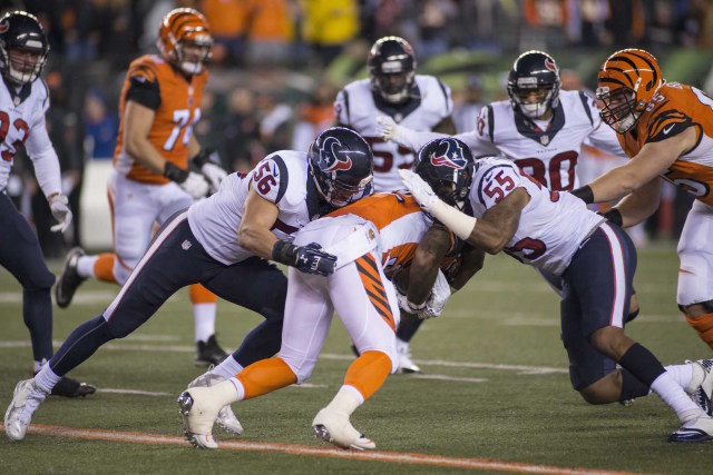 Cush mckinney hy2xhw