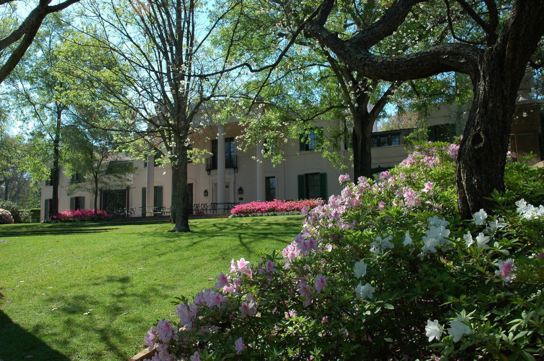 Bayou bend azaleas 2 vnndp5