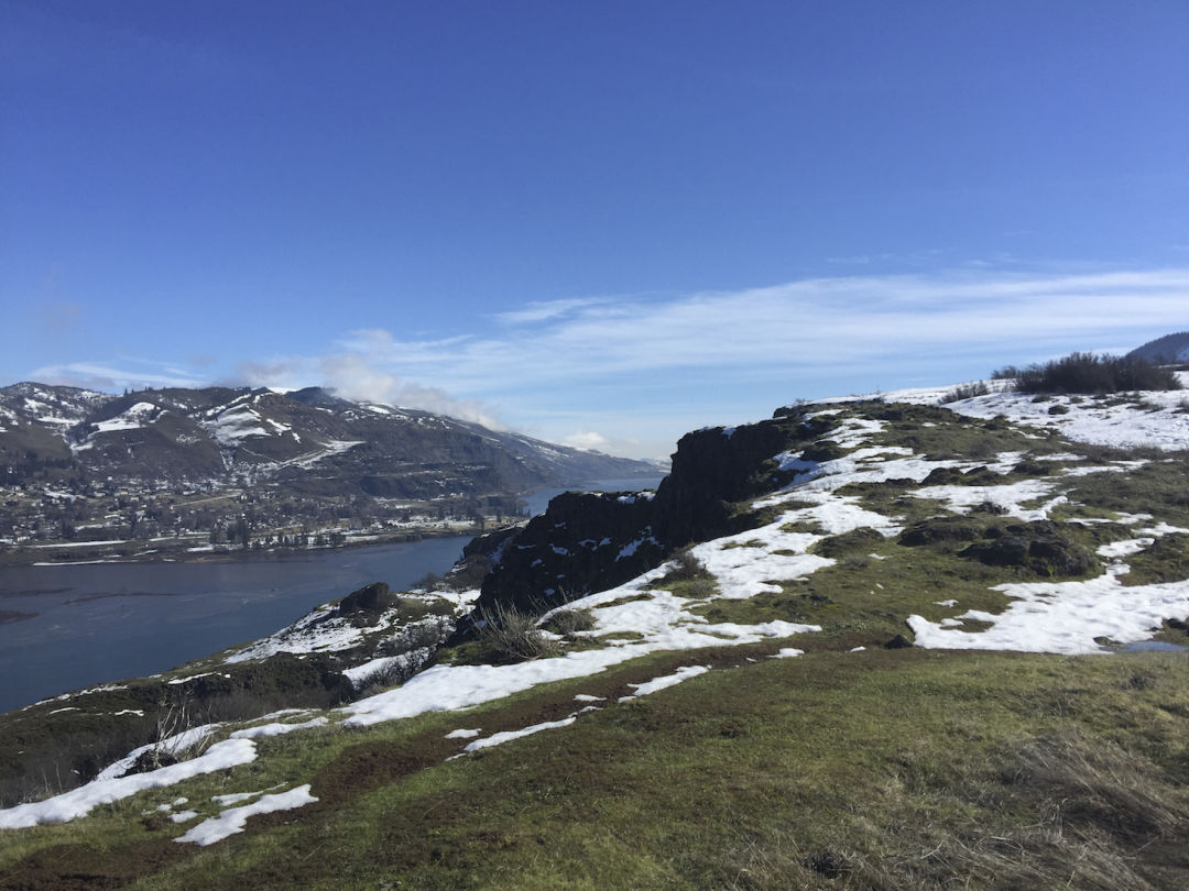Rowena crest 1 lhni0m