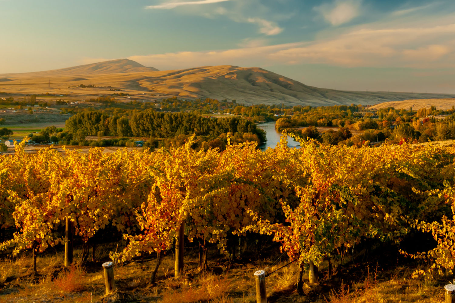 Best Washington Wines Under 15 And 25 Seattle Met