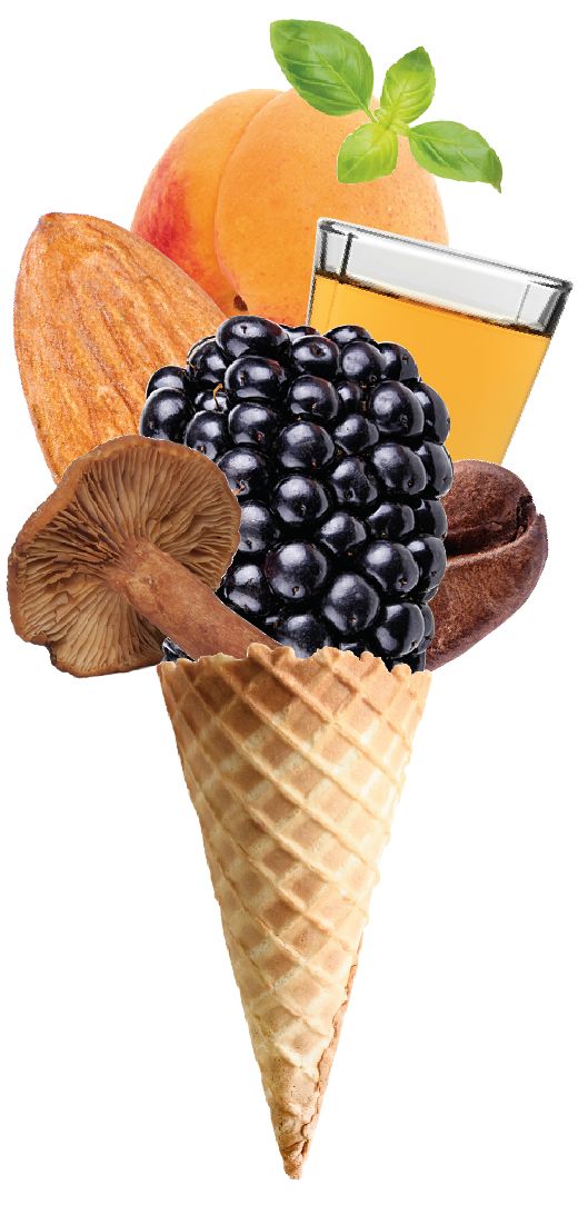 5 Unusual Ice Cream Flavors You Ll Find Only In Park City Park City Magazine 5 Unusual Ice Cream Flavors You Ll Find Only In Park City Park City Magazine