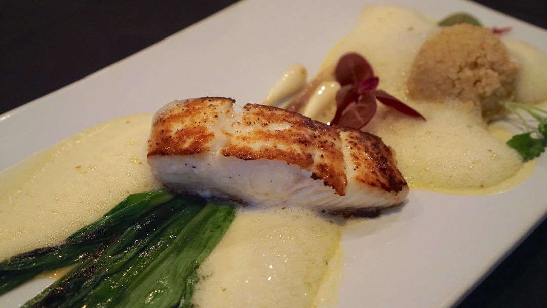 Charivari halibut cb5xnh