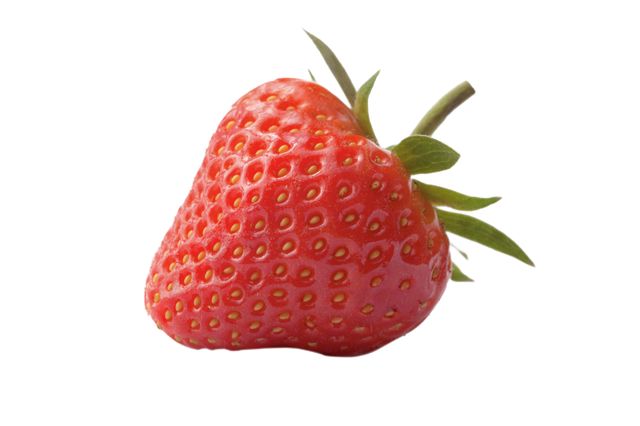 Park city summer 2012 wat strawberry rklryy