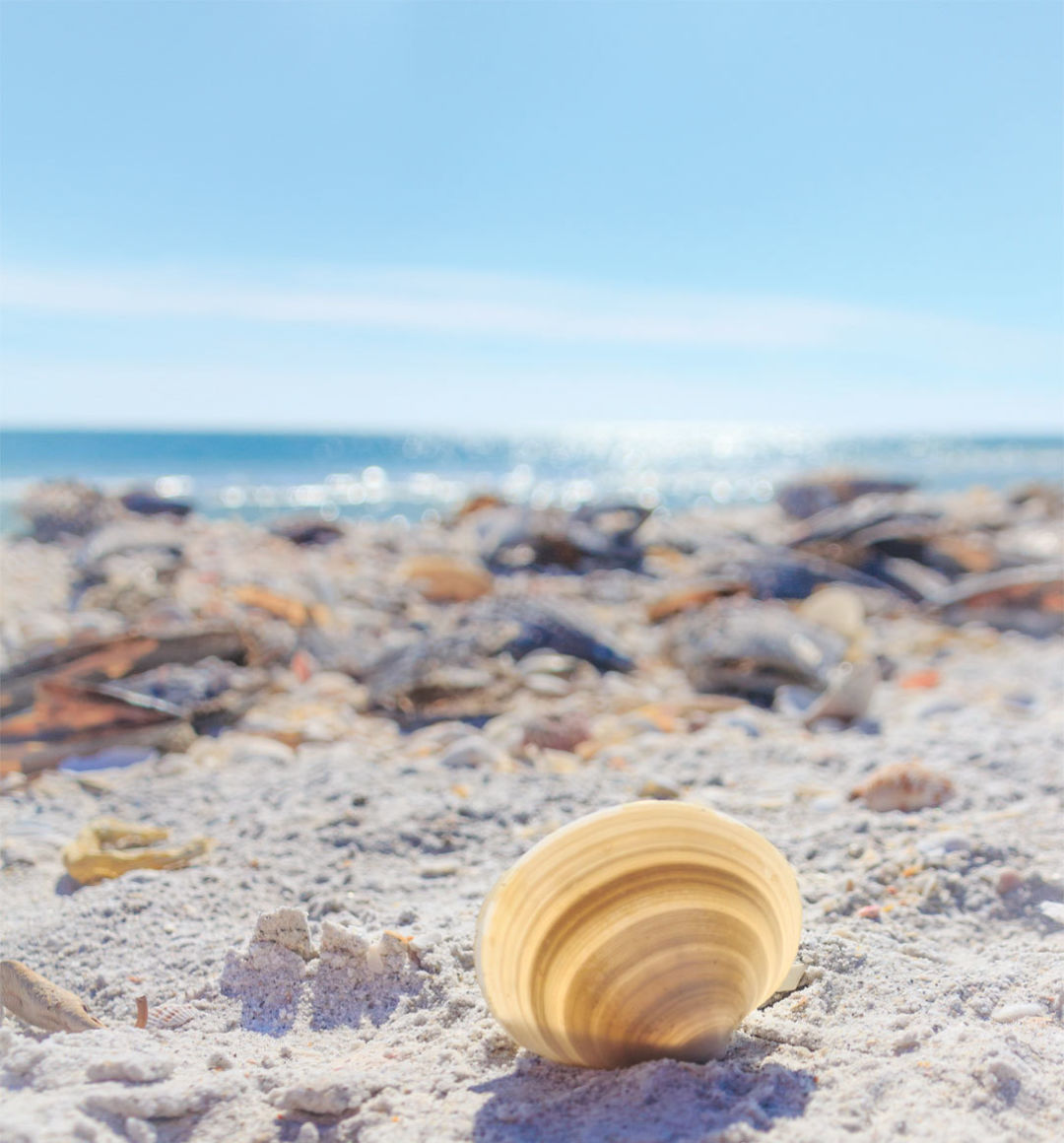Shutterstock 143620723 edit pycpra