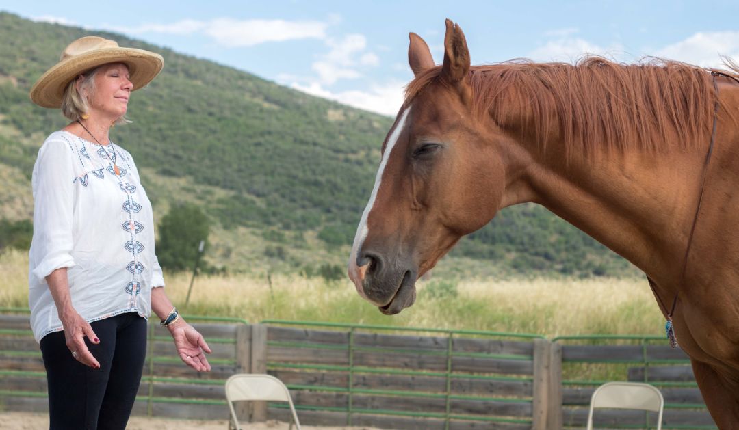 Tap Into Unique Equine Adventures | Park City Magazine