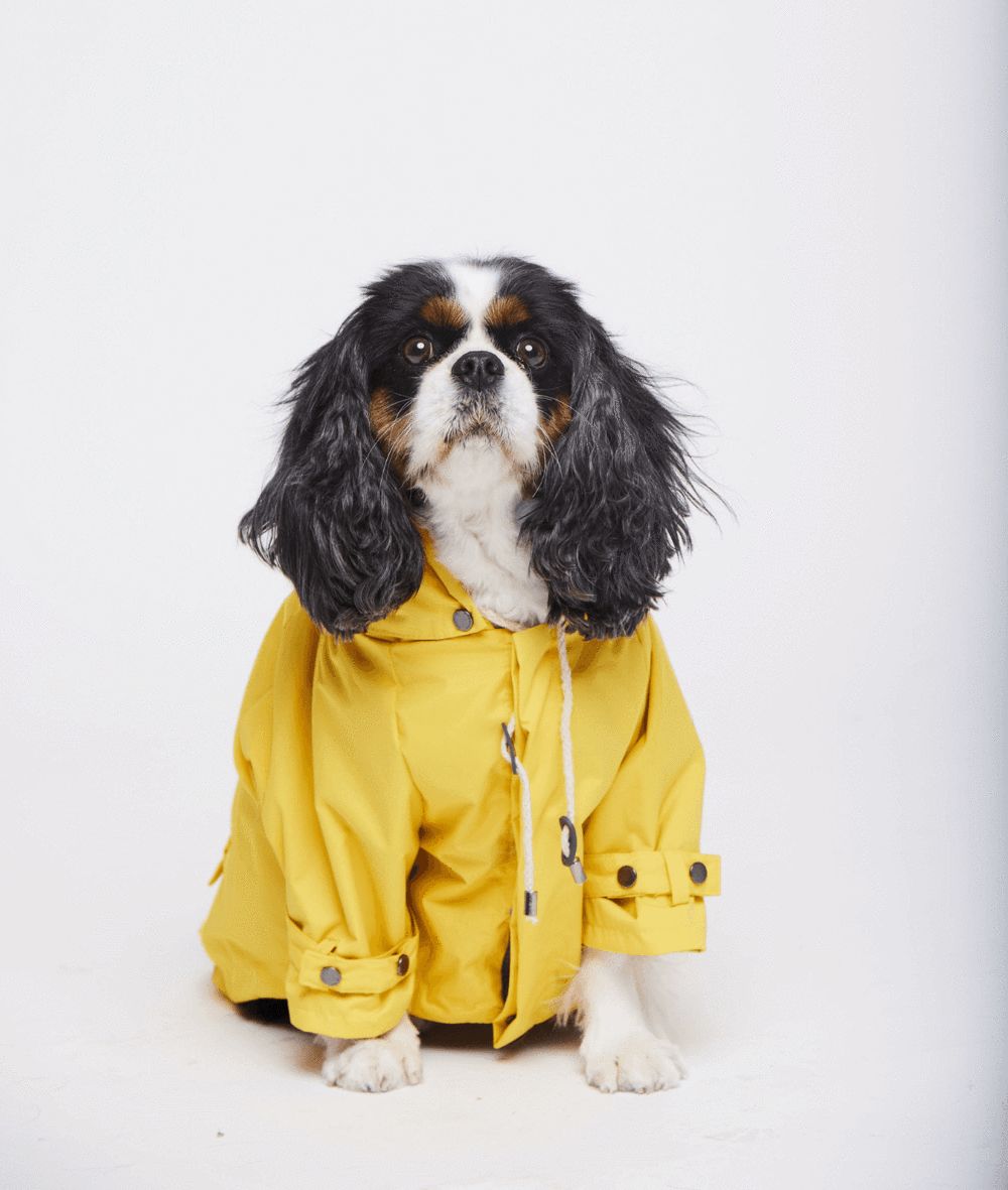 Maxbone Talon Dog Raincoat