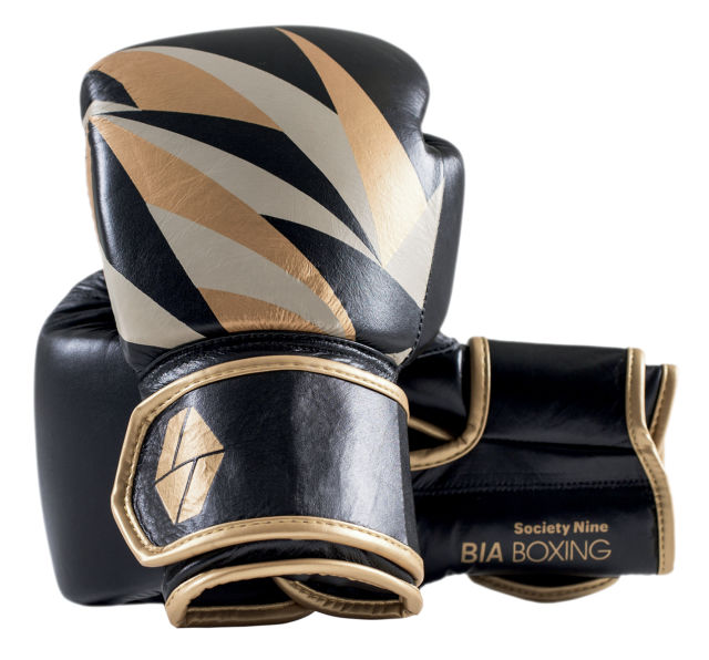 Da2017 trophy case boxing gloves j4376l